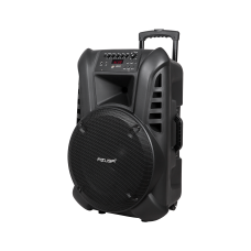 Active speaker (with 2 wireless microphones, SD, Bluetooth, USB) 15" 120W