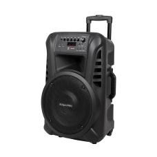 Aktyvus garsiakalbis (su 2 belaidžiais mikrofonais UHF, SD, Bluetooth, FM, USB) 40 W