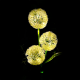 Rebel decorative solar garden lights - decorative garlic