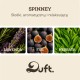DUFT Spinney Wooden Car Fragrance - Natural Diffuser with Handle DUFT Spinney Wooden Car Fragrance - Natural Diffuser with Handle