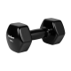 ŠEŠIAKAMPIAI ketaus vinilo hanteliai 2 x 10 kg, REBEL ACTIVE