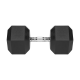 Gumuotas ketaus hantelis HEX 37.5 kg REBEL ACTIVE