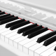 Kruger&Matz KMDP-135 skaitmeninis pianinas, blizgiai baltas