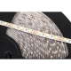 LED styga 25m Rebel 300x5050 SMD) neutrali vandeniui atspari, 12V