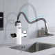 Instantaneous water heater kitchen tap with flexible spout Instantaneous water heater kitchen tap with flexible spout