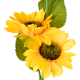 Rebel decorative solar garden lights - sunflower Rebel decorative solar garden lights - sunflower