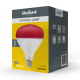Rebel R125 infrared lamp, 250W, 220-240V