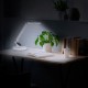 Desk lamp with display (clock, timer)