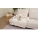 Dog bed, cat bed, sofa cover 75x75cm, REBEL ANIMALS