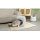Dog bed, cat bed, kennel, house 30cm, REBEL ANIMALS Dog bed, cat bed, kennel, house 30cm, REBEL ANIMALS