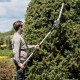 Telescopic cordless shears + saw 2in1 Rebel