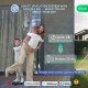 Smart irrigation system controller NOUS L14, ZigBee 2 MQTT, TUYA