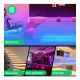 LED juostos komplektas su Wi-Fi valdikliu ir maitinimo šaltiniu, RGB, 5m, 24W, TUYA / Smart Life, NOUS