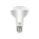 E27 A60 LED 9W R80 bulb for plant cultivation E27 A60 LED 9W R80 bulb for plant cultivation