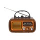 Portable analog AM/FM radio BT BLOW RA16 solar