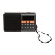 Portable analog AM/FM radio BT BLOW RA18