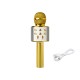 PRM402 BLOW gold karaoke mikrofonas