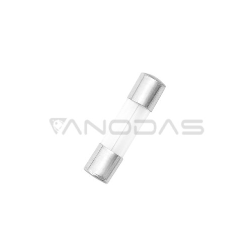 Fuse 20mm 100mA CE Fuse 20mm 100mA CE