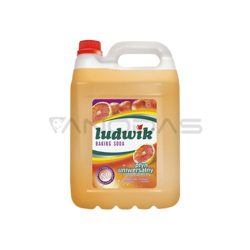 Universal baking soda liquid 5l LUDWIK  Universal baking soda liquid 5l LUDWIK
