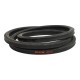 BB 60 trapecinis diržas (BB 1575).PIX