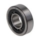 Cilindrinis ritininis guolis NU203-E-XL-TVP2 FAG 17x40x12
