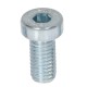 DIN 7984 varžtas M10x20 klasė 8.8 cinkuota balta (100 vnt.)