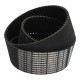 Toothed belt 1280-8M-50 z160