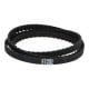 Timing belt 274-XL 025 z137