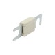 Fuse 157.5701.5401 LITTELFUSE
