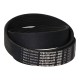 V-belt 8 PL 1422.Optibelt
