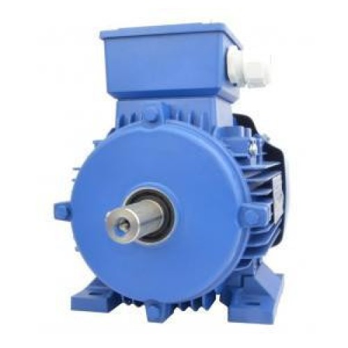 Motor 0.25-1400-LG Motor 0.25-1400-LG