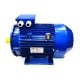 Paw motor 3Kw 700rpm shaft 38mm