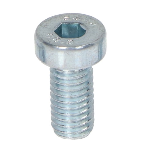 Varžtas DIN 7984 M10x35 8.8 klasės cinkuotas, baltas (100 vnt.) Varžtas DIN 7984 M10x35 8.8 klasės cinkuotas, baltas (100 vnt.)