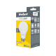 LED lamp A60 12W E27 3000K 230V