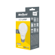 LED lempa A65 16W E27 3000K 230V