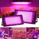 Led lempa augalams 50W 230V