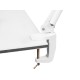 Magnifying lamp 15W ZD129A Magnifying lamp 15W ZD129A