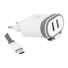 Sieninis įkroviklis microUSB C 2A