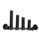 Mushroom head screw for Allen - M5 x 10mm - 10 pcs