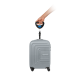 Teesa luggage scales